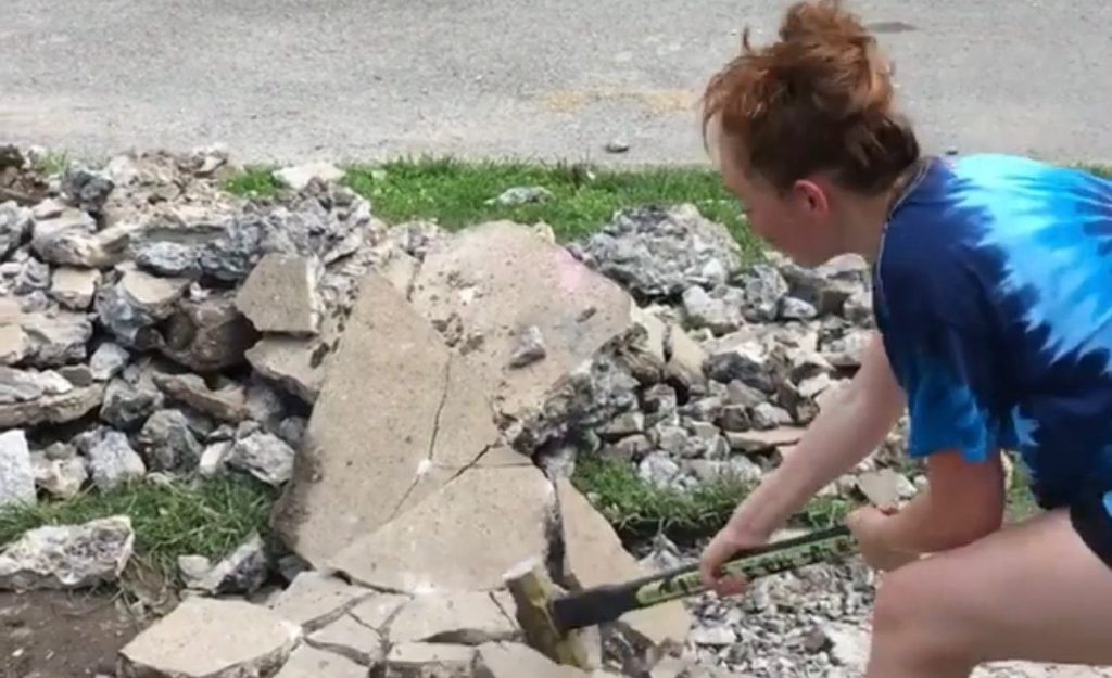 Professional Background